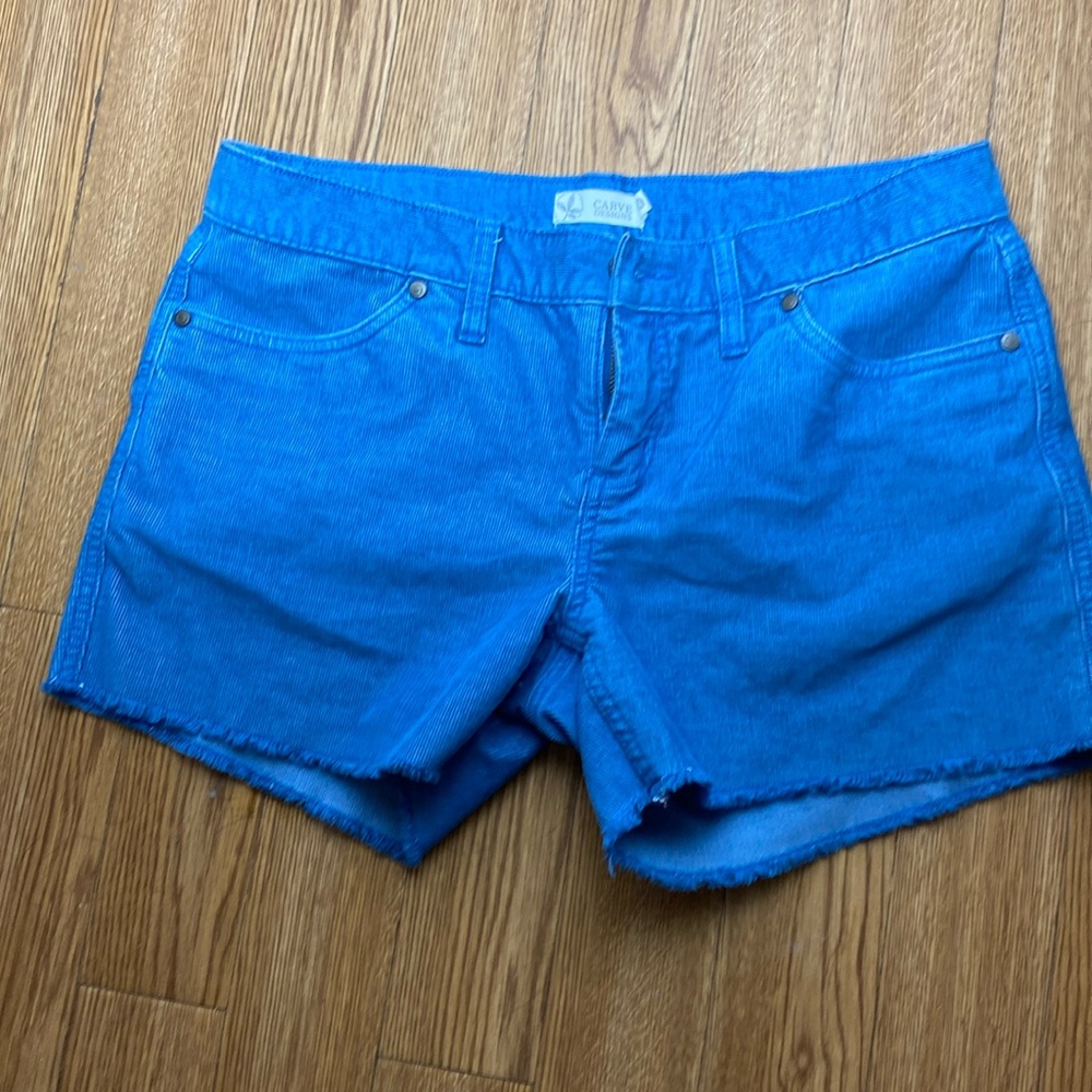 Carve Designs sz 2 Oahu 4” shorts